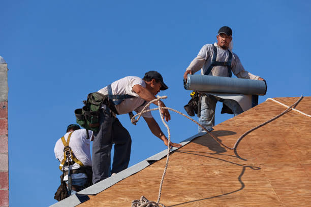 Best Local Roofing Companies  in Hercules, CA