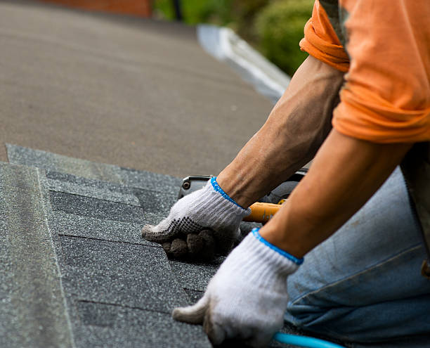Best Roof Gutter Cleaning  in Hercules, CA