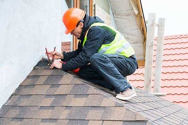 Best Roof Gutter Cleaning  in Hercules, CA