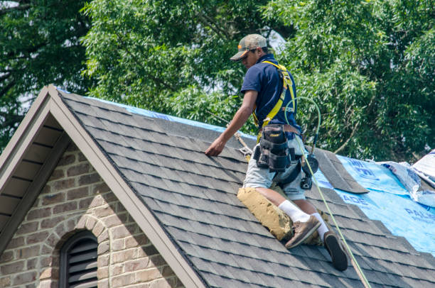 Best New Roof Installation  in Hercules, CA